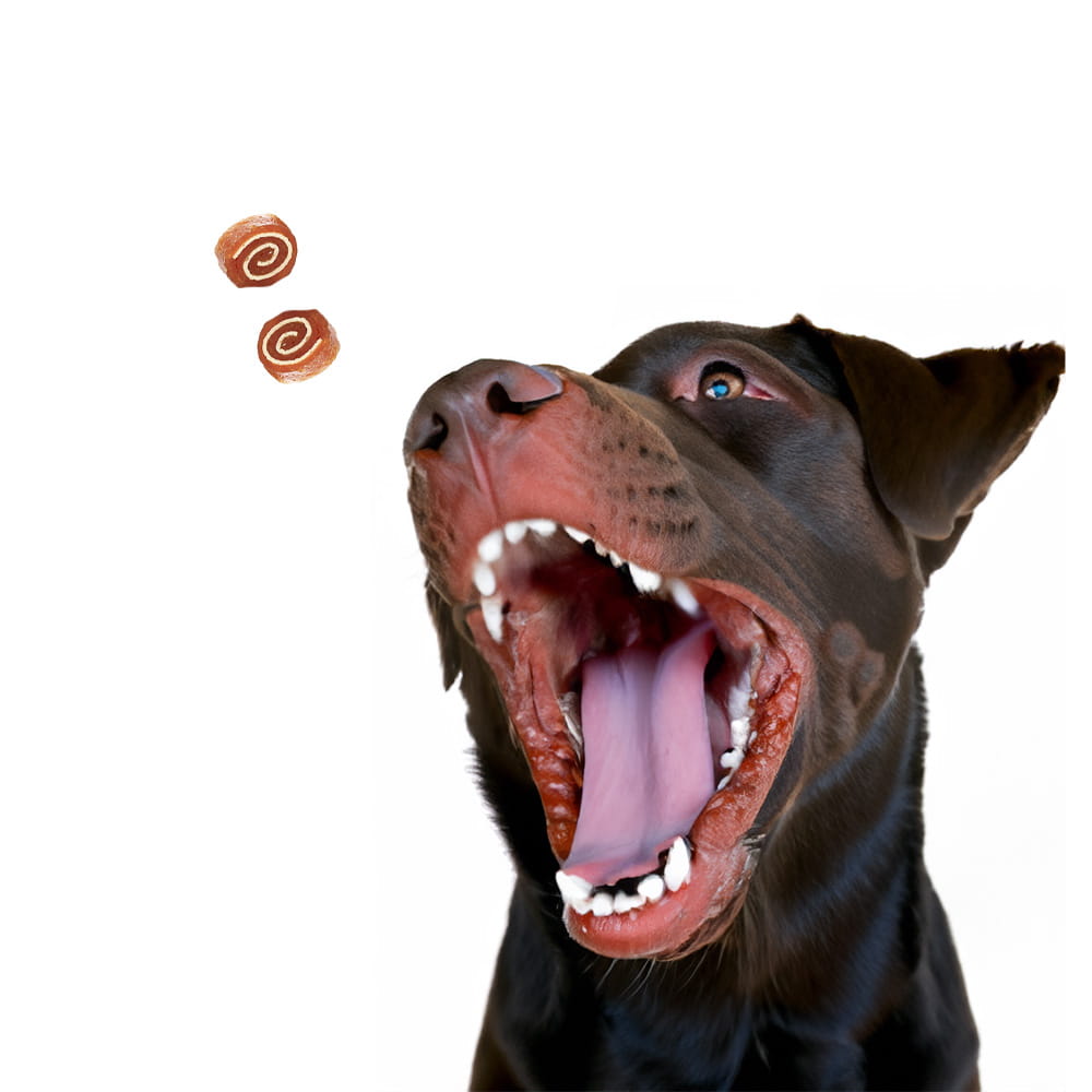 Maced sushi kaczka ryba 500g przysmak dla psa